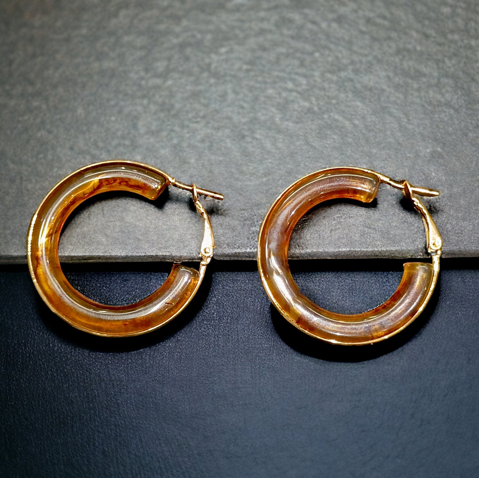 FW Voguish Brown Hoops Western Earring