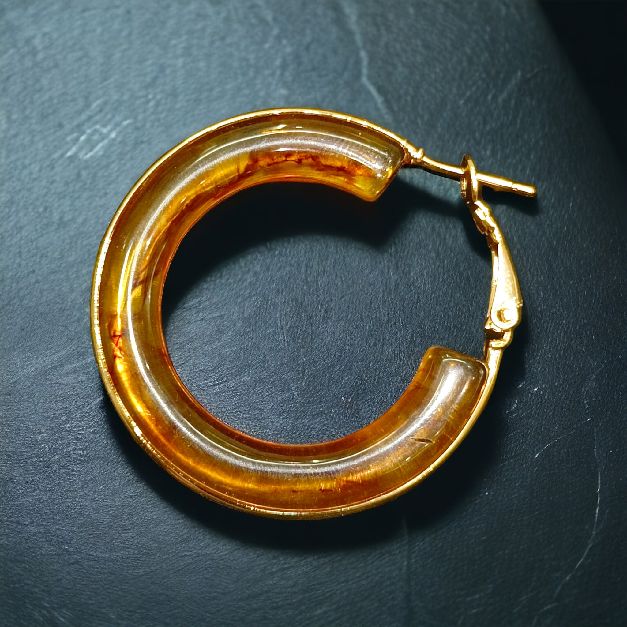 FW Voguish Brown Hoops Western Earring