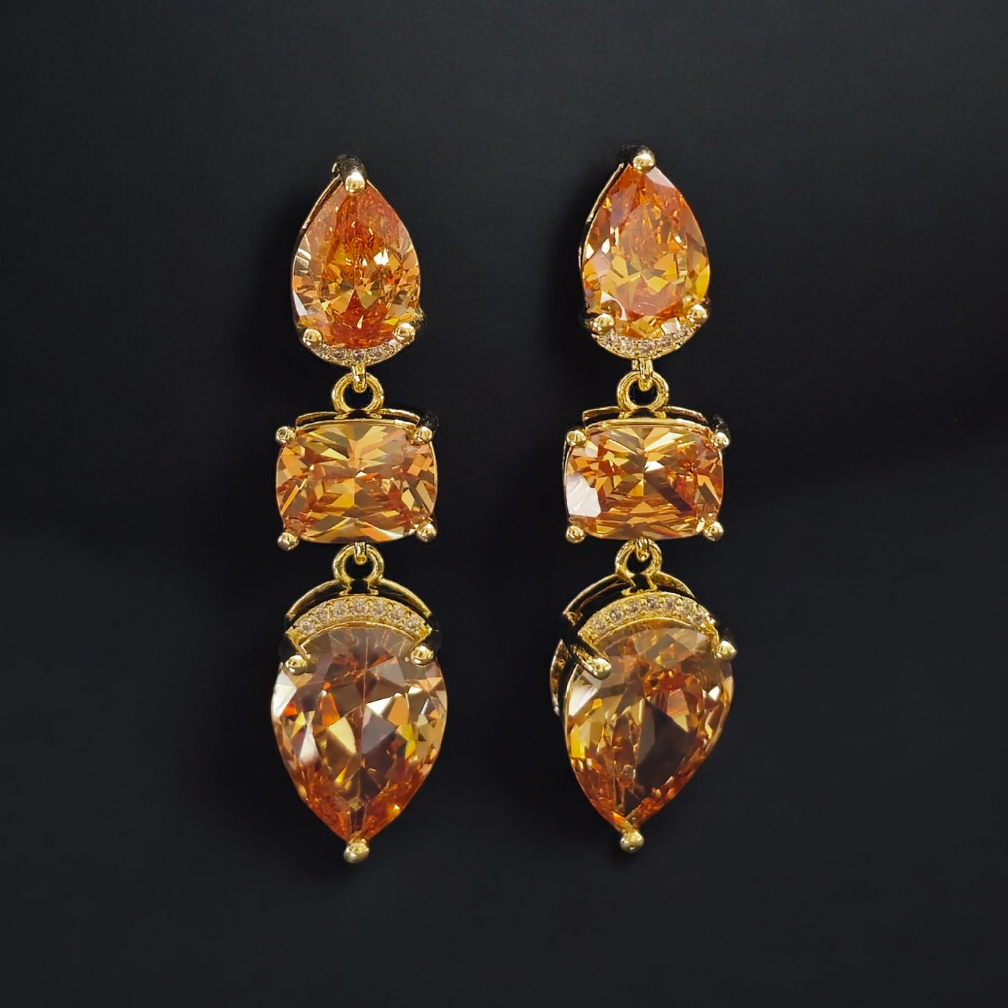 FW LCT Western Dangling Earring